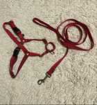 Peitoral e Trela Easy Walk