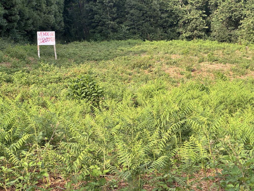 Terreno com 1700m2
