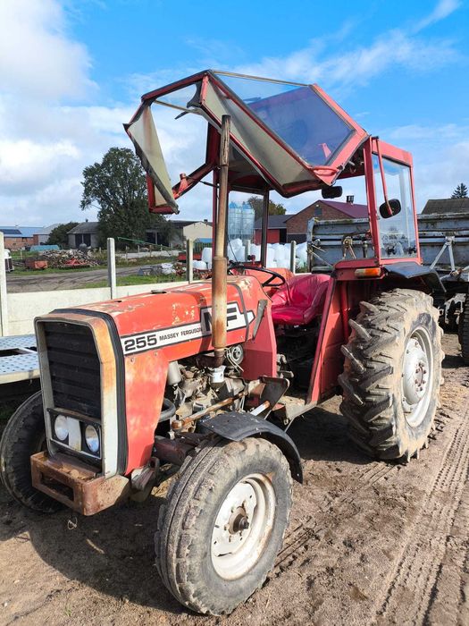Massey Ferguson 255 MF Ursus 3512 ciągnik rolniczy 235 traktor 2812