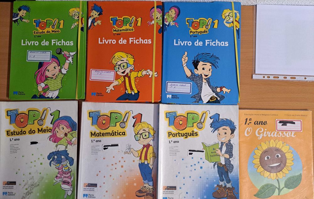 Manuais e Livros de Fichas e Exercícios 1º a 6º Ano