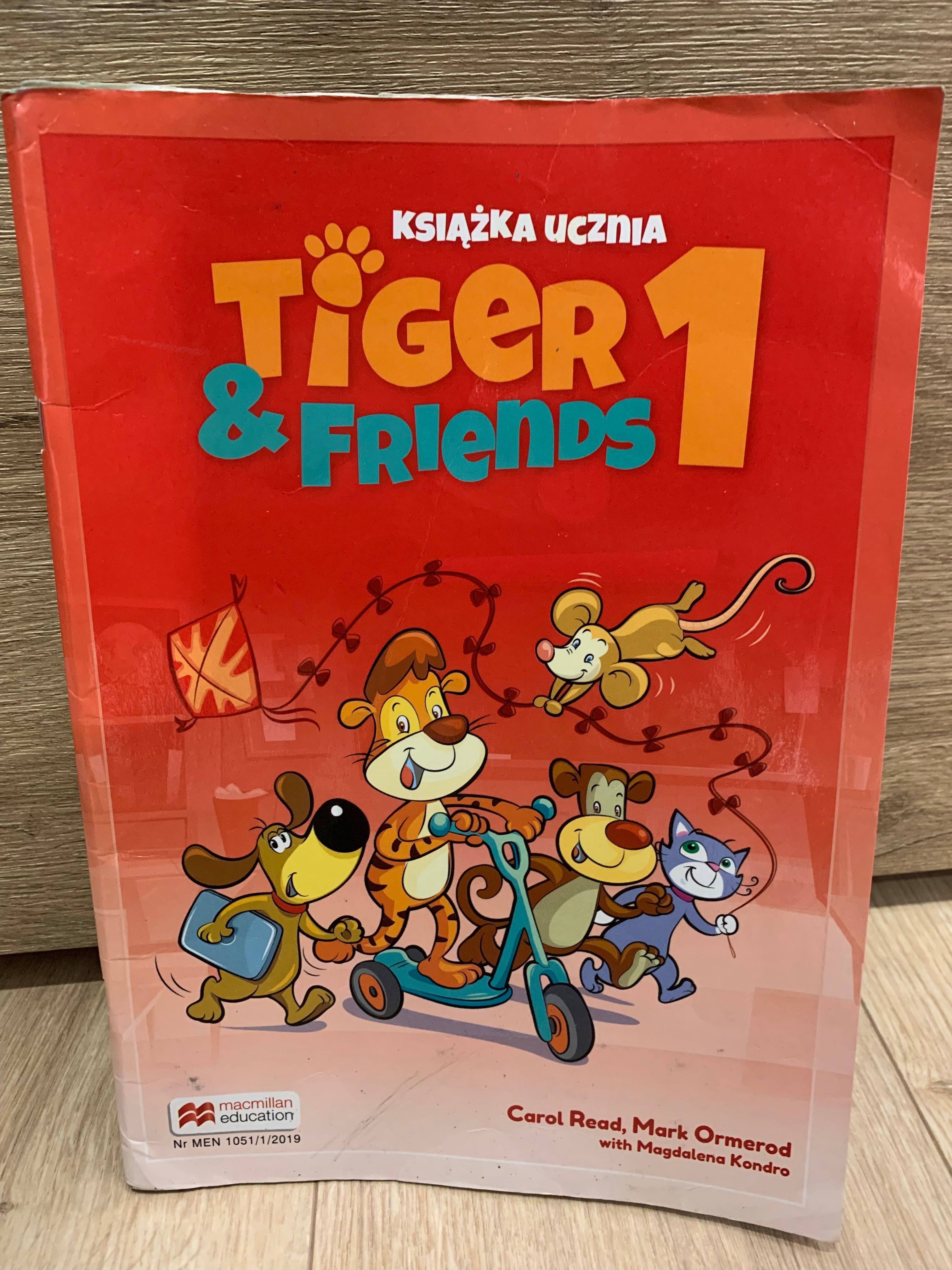 Elementarz odkrywców klasa 1 matematyka polski tiger angielski muzyka