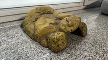 Exo Terra Jaskinia dla gadów XL Kryjówka terrarium