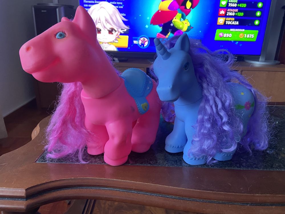Vendo dois ponneys