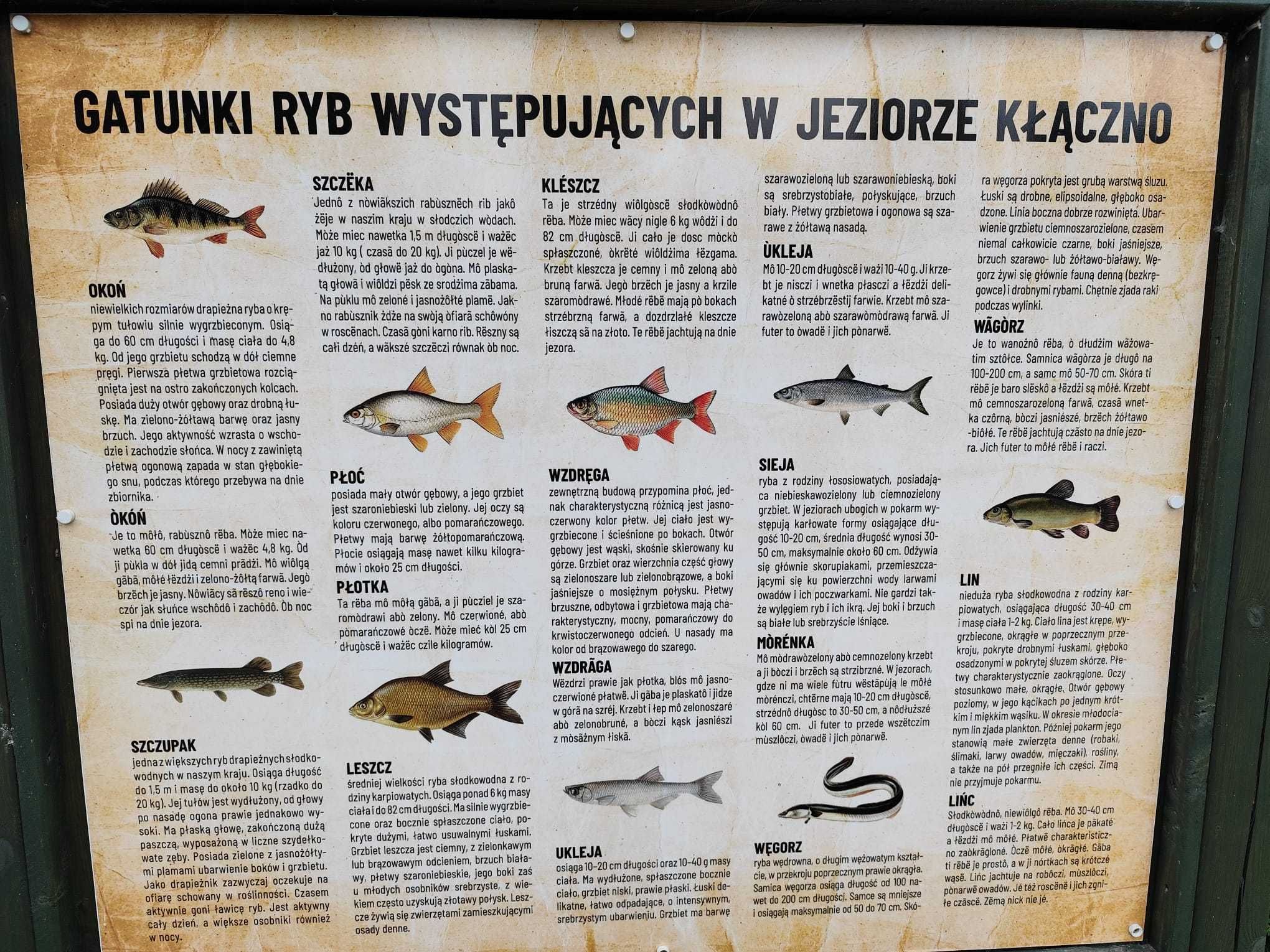 Atrakcyjna działka budowlana 300 m. od jeziora.