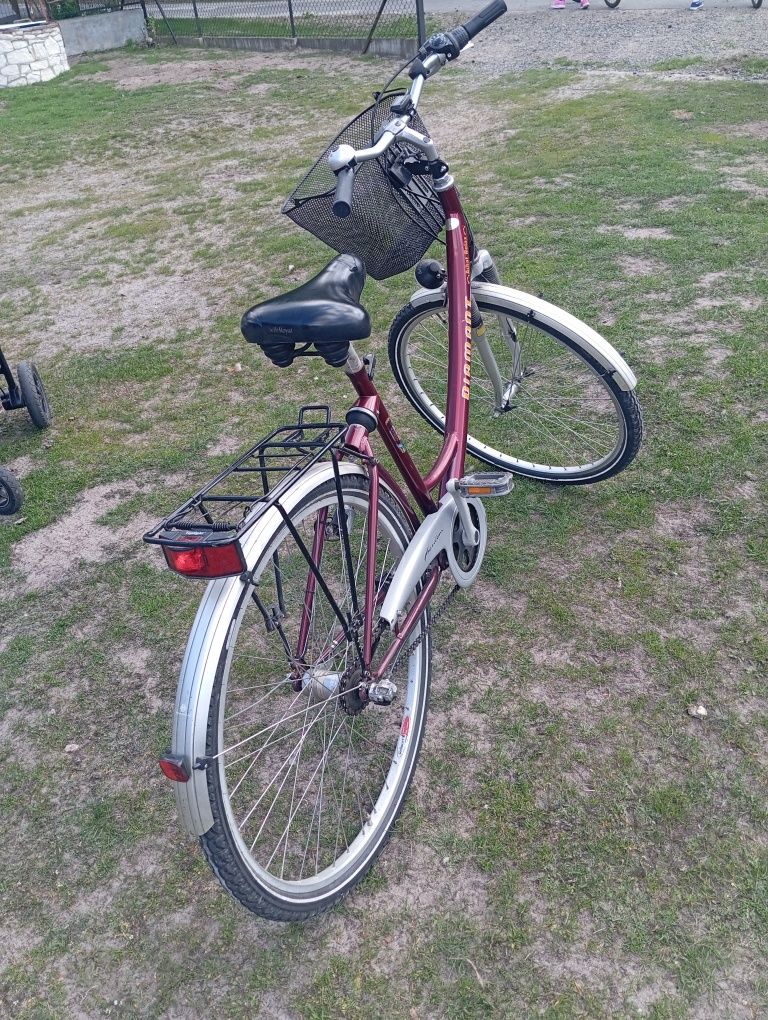Rower damka z przerzutkami