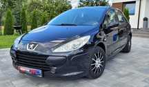 Peugeot 307 Lift*2007 rok*1,6 B*Sprawna Klimatyzacja*Godny uwagi