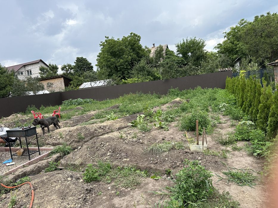 Догляну ваш двір: газон, автополив, рослини