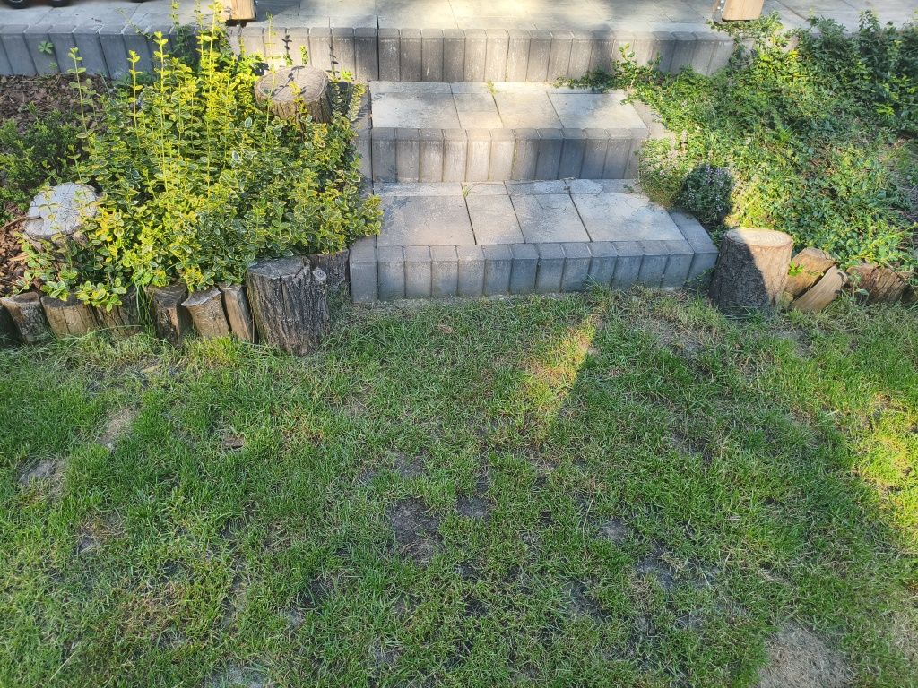 Złota rączka , drobne prace