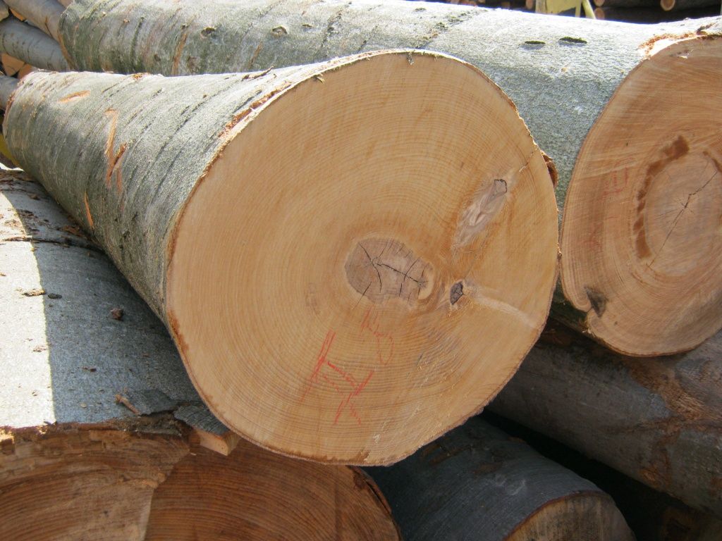Drewno do kominka nadające się do palenia grube polana cięte do 40cm