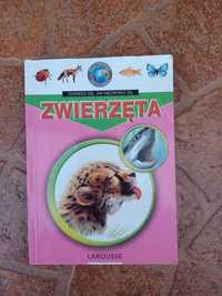 Książka edukacyjna Zwierzęta