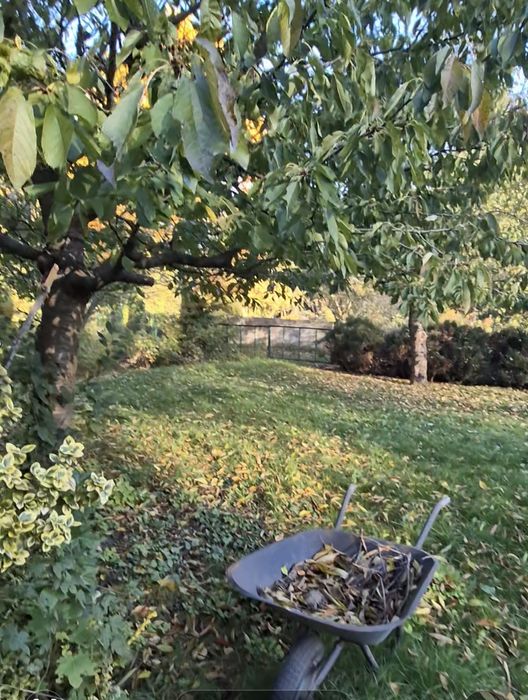 Działka ROD im. Paszkowiaka w Poznaniu, 550m²