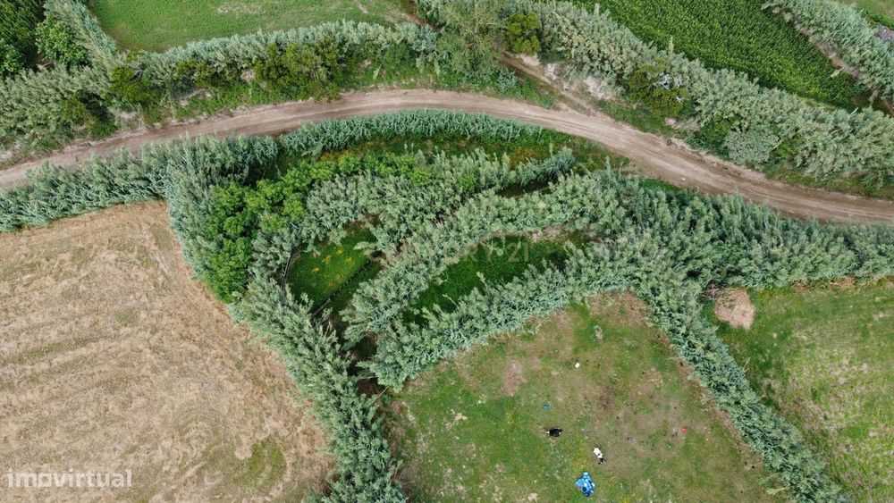 Terreno Agrícola com Vista Mar em Candelária ,Ponta Delgada - 65.000€