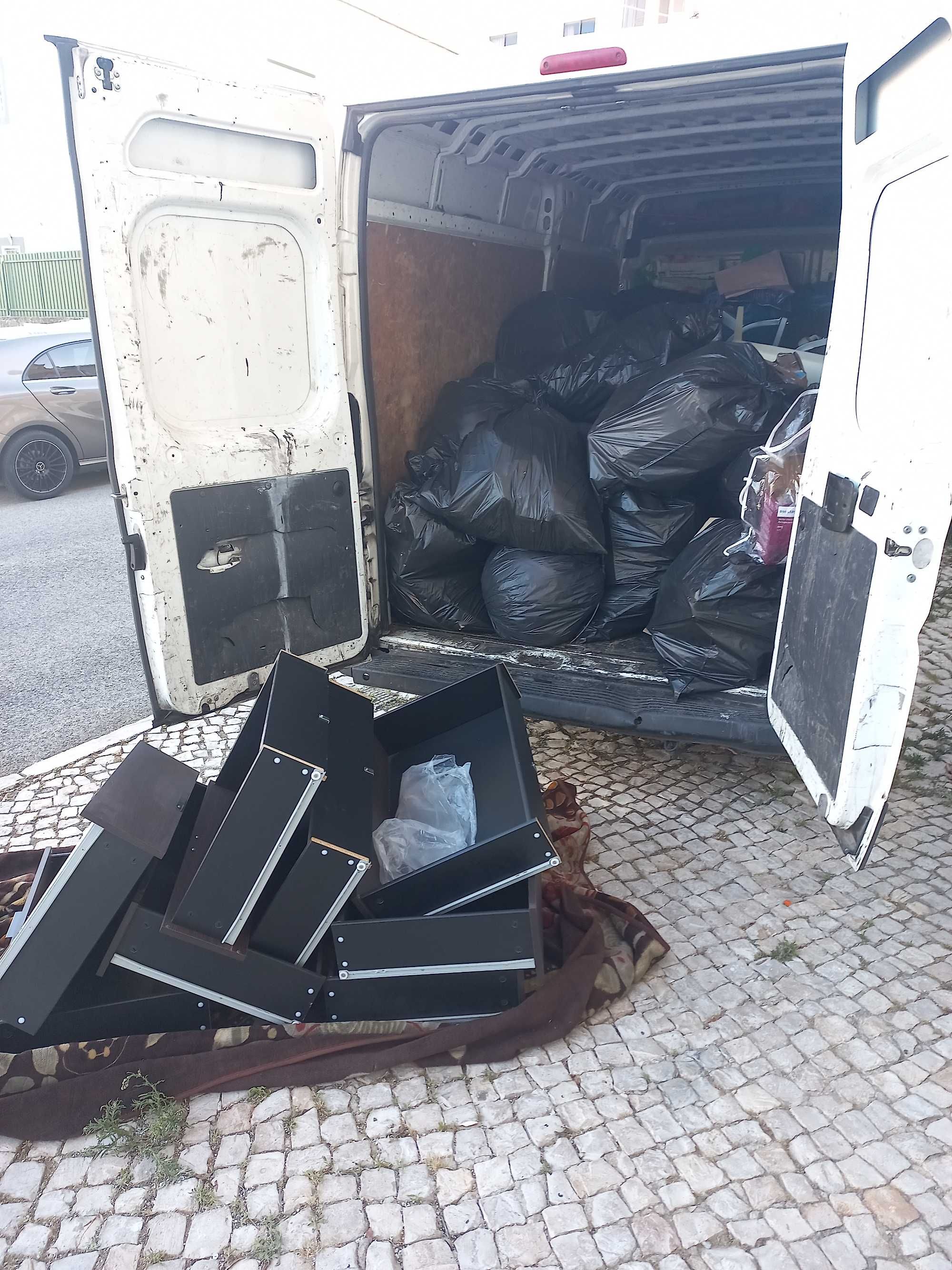 Recolha de monos, recolha de móveis, lixo