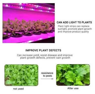 Fiolet taśma LED 5V USB LED do oświetlenia roślin sadzonek szklarni
