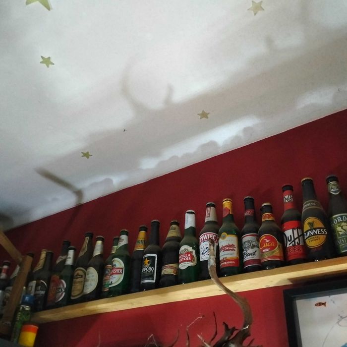 Coleção de 55 garrafas de cerveja, com carica - várias marcas e países