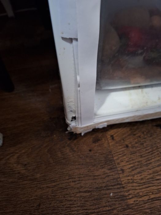 Б/в холодильник Snaige. Днепр-2ис. Працюючі