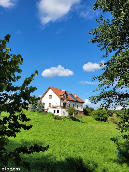 Piękny dom z winnicą