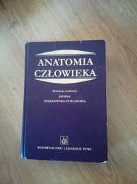 Anatomia człowieka wydawnictwo lekarskie PZWL