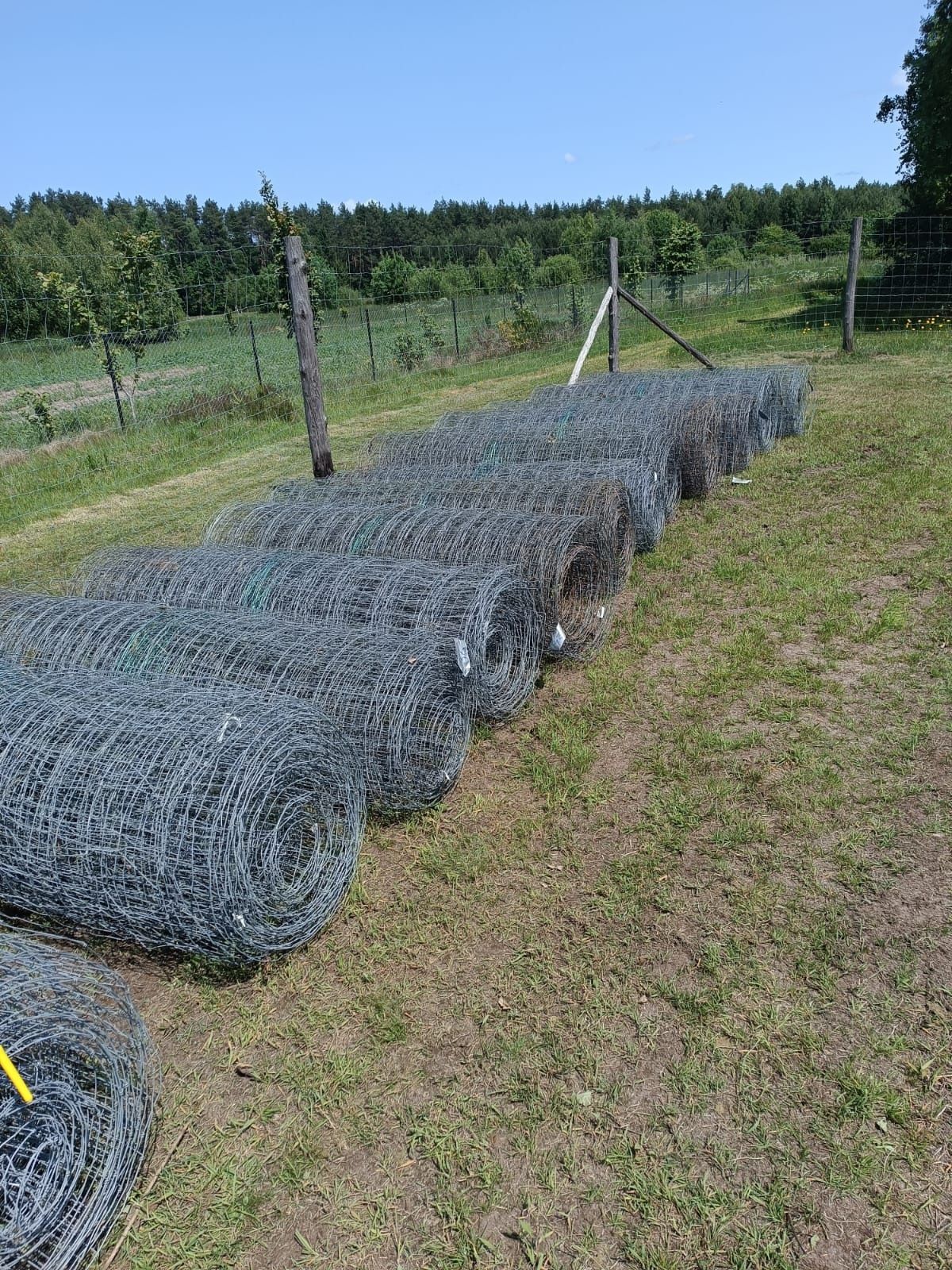 Siatka leśna wys. 2m
