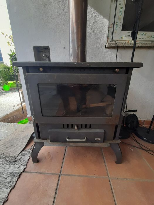 Salamandra em muito bom estado