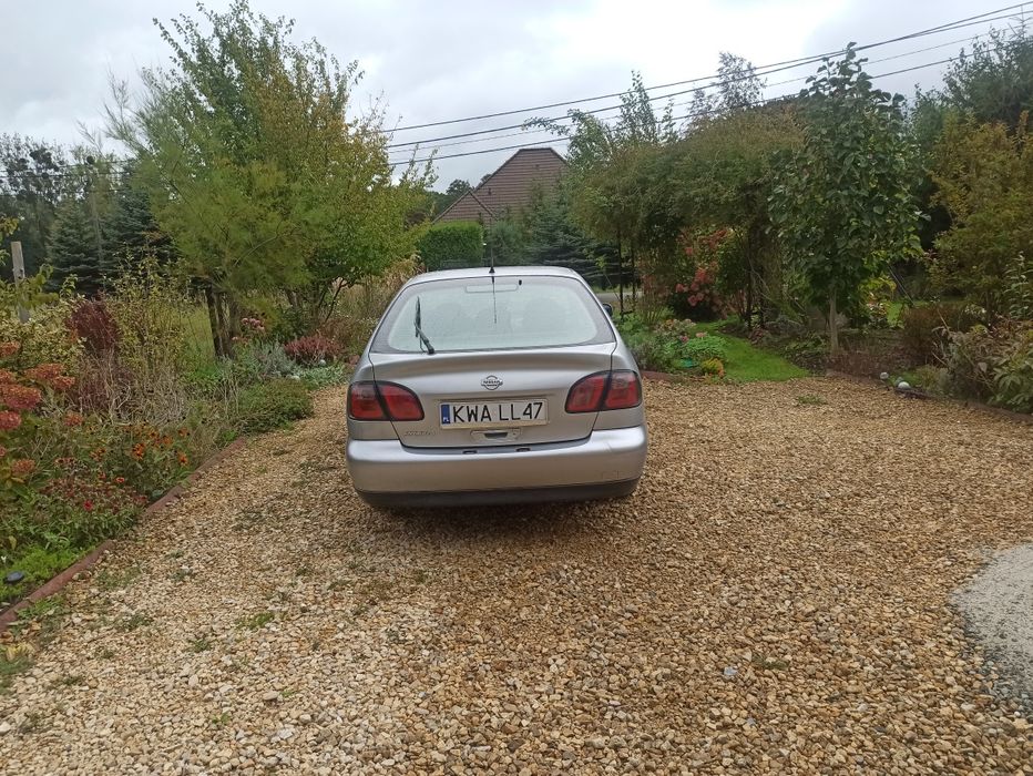 Nissan Primera p11 sedan