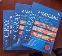 Anatomia Gray - podręcznik dla studentów