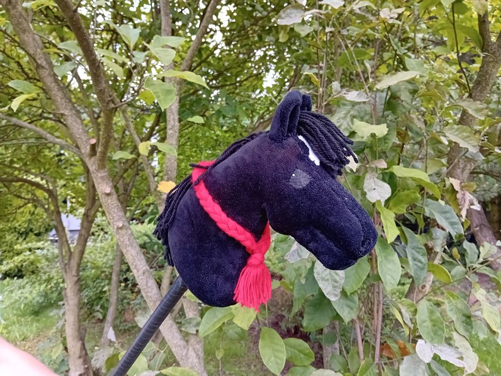 Hobby Horse ręcznie robiony