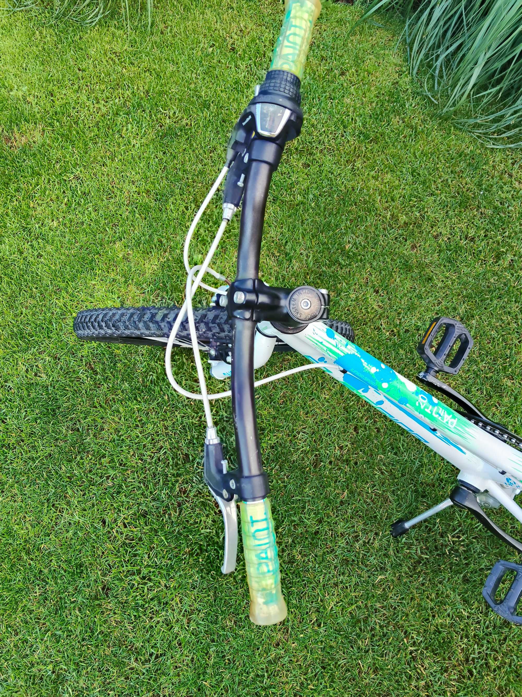 Rower Superior Paint 20 4-9 lat