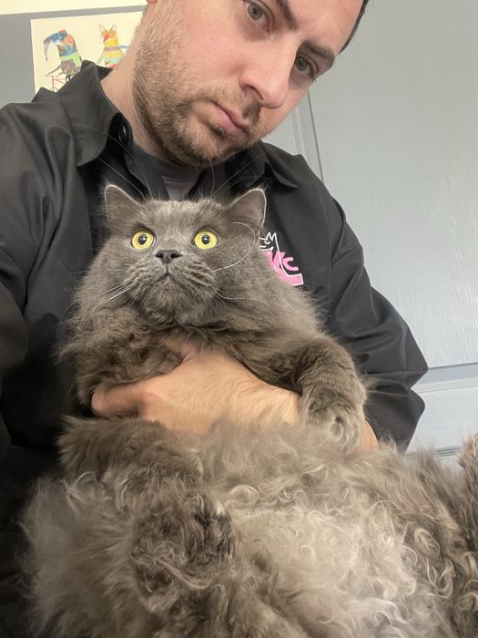 Експрес линька | Грумінг | Лівий берен