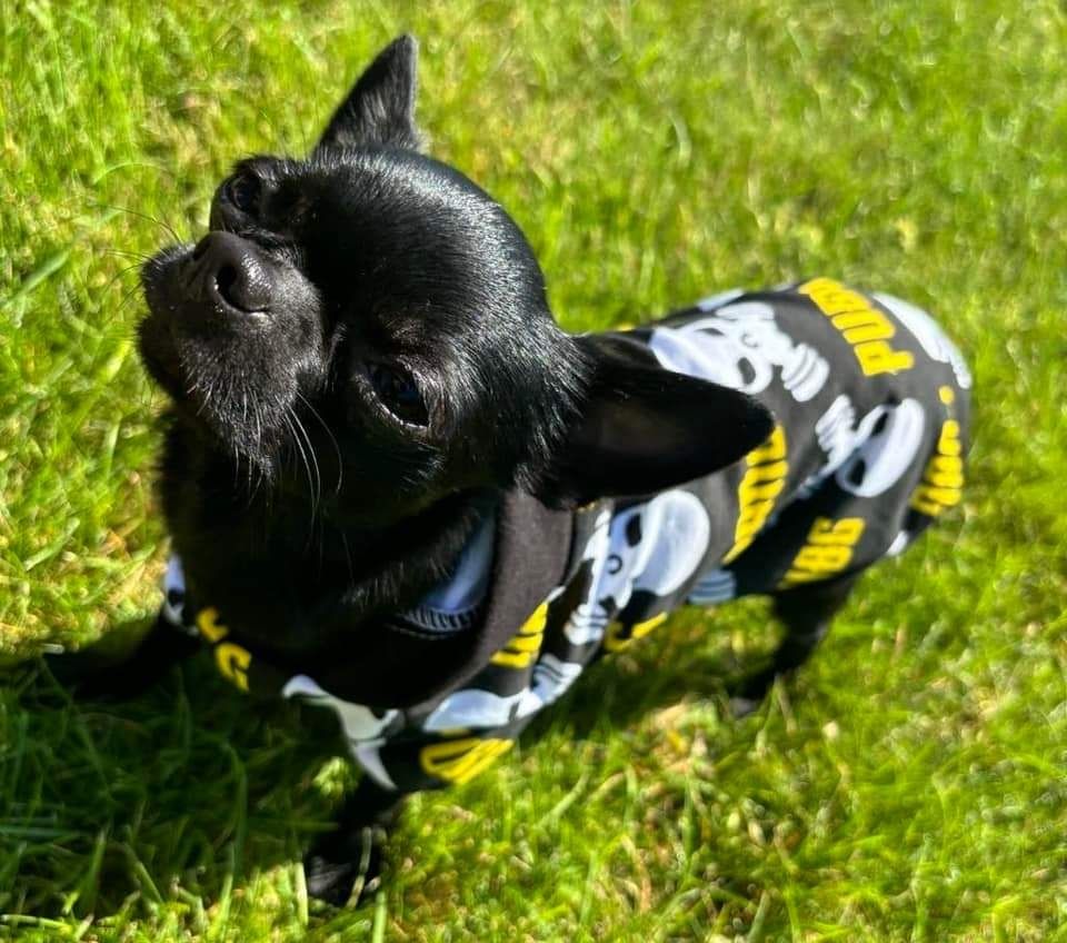 Bluza dresowa  ubranko dla psa mops grzywacz york na miare