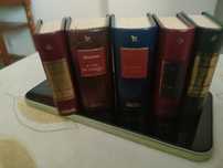 Mini livros históricos
