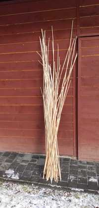 Tyczka bambusowa