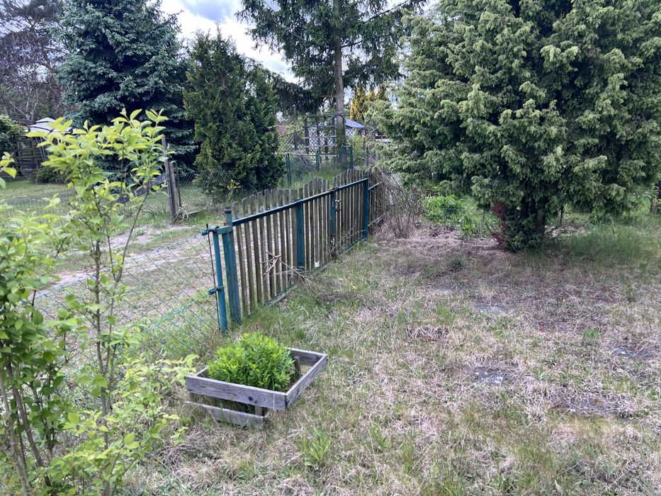 Działka całoroczna ROD sawanna Ochla Zielona Góra