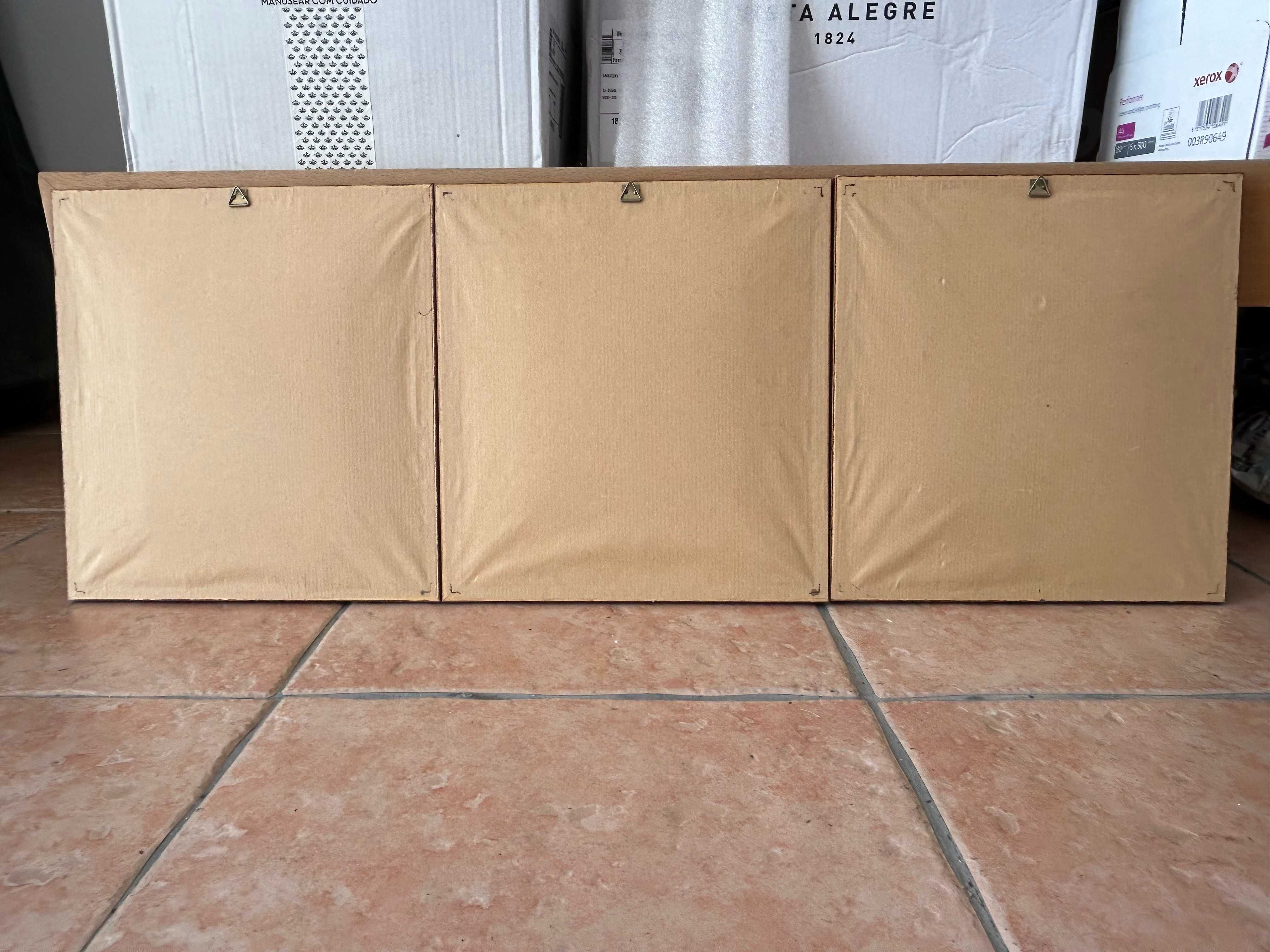 Quadros com flores