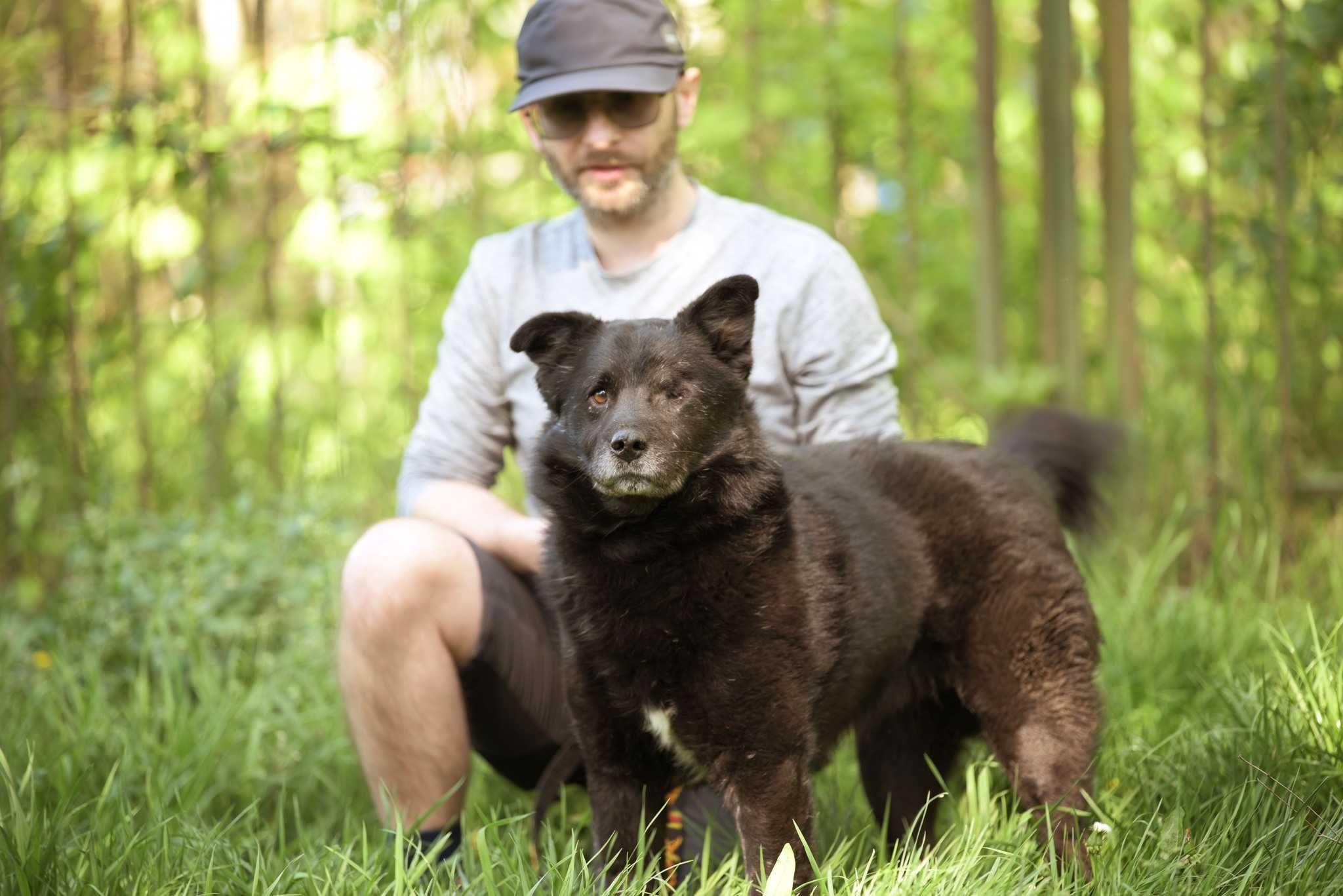 Sherlock - spokojny, jednooki misio do adopcji