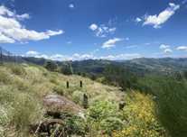 Limpezas de Terrenos