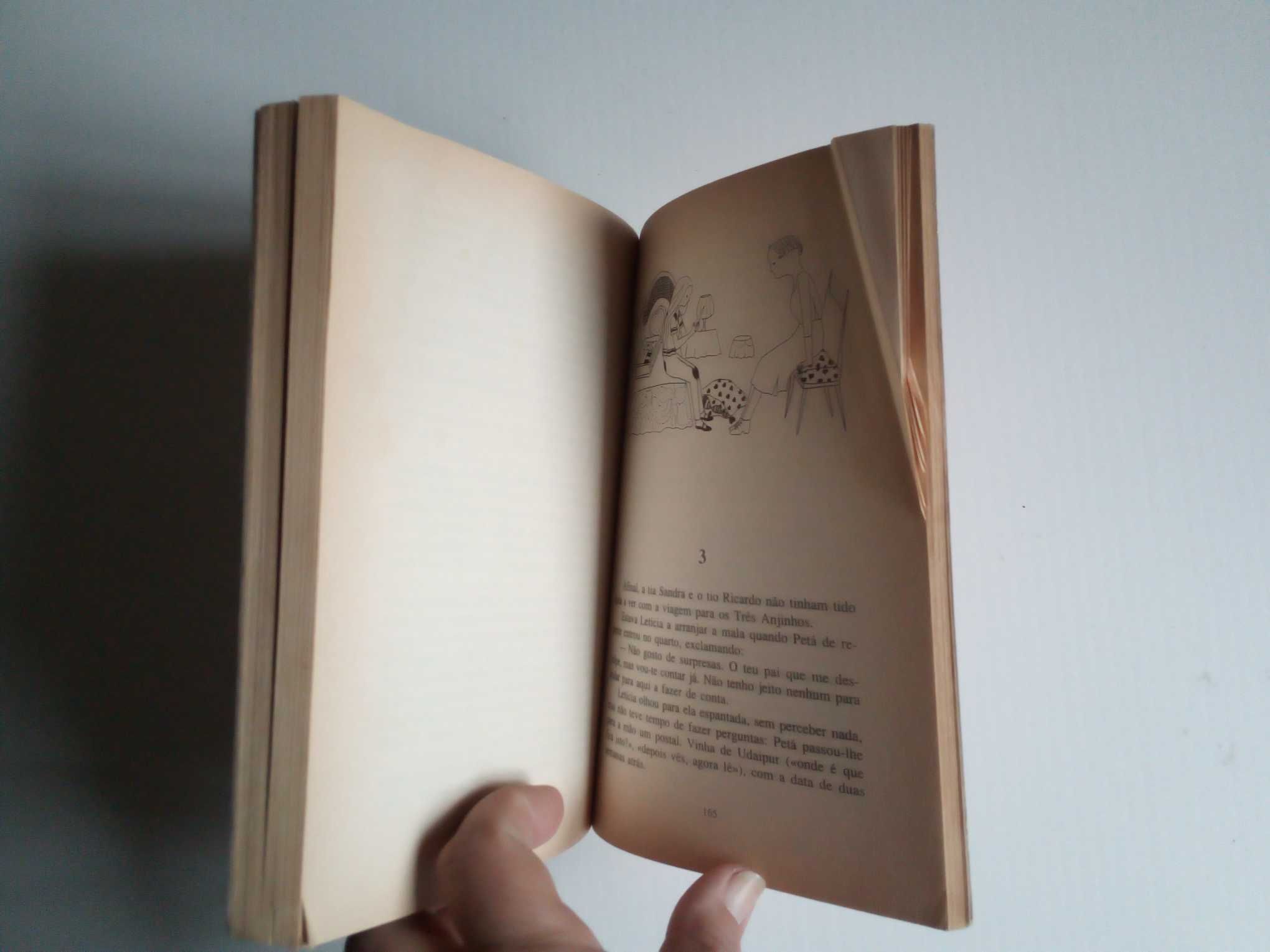 Livros "Sonhos na Palma da Mão" e "Se perguntarem por mim digam q voei