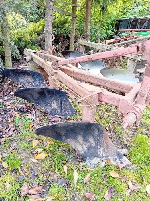 Pług 3 skibowy Grudziądz