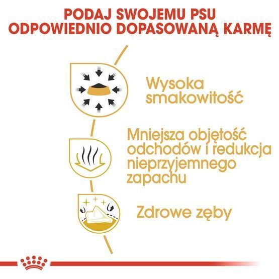 Karma dla dorosłych psów chihuahua - Royal Canin HIGIENA ZĘBÓW 0,5kg