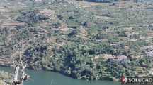 Quinta - Pomar