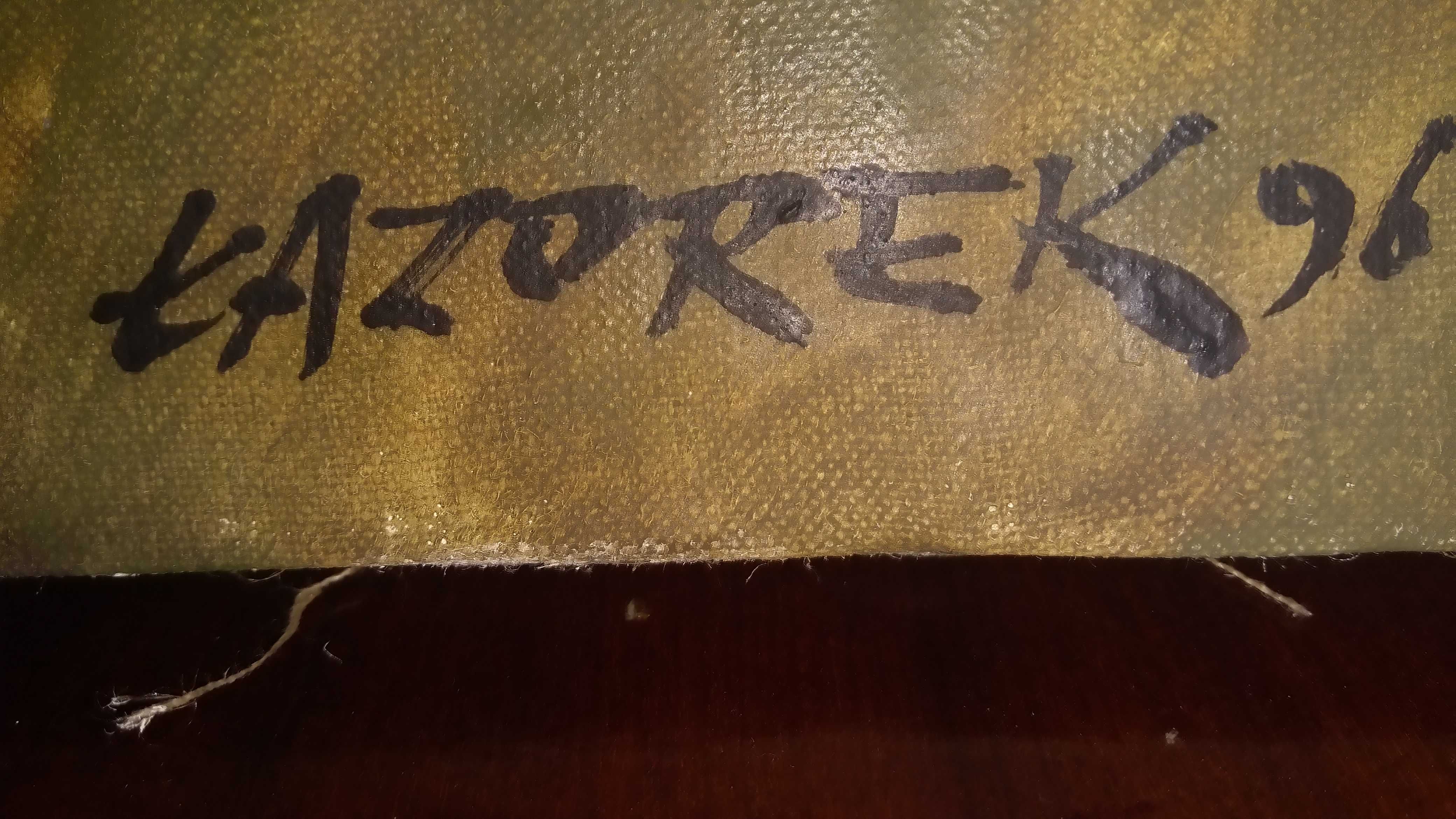 Obraz Kazimierz Dolny nad Wisłą , Łazorek  , płótno , olej , 55x45 cm.