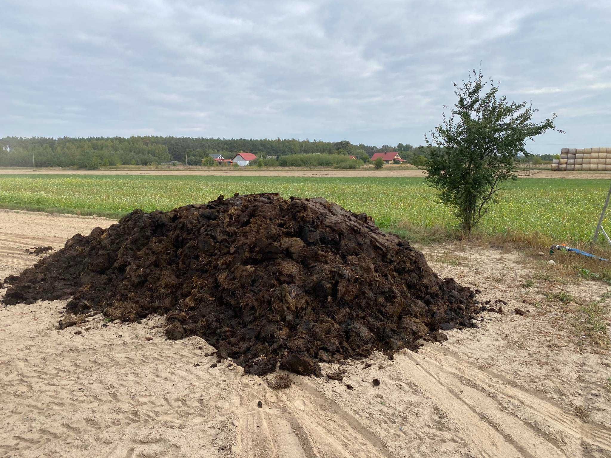 Sprzedam obornik bydlęcy, kurzy, od trzody chlewnej !