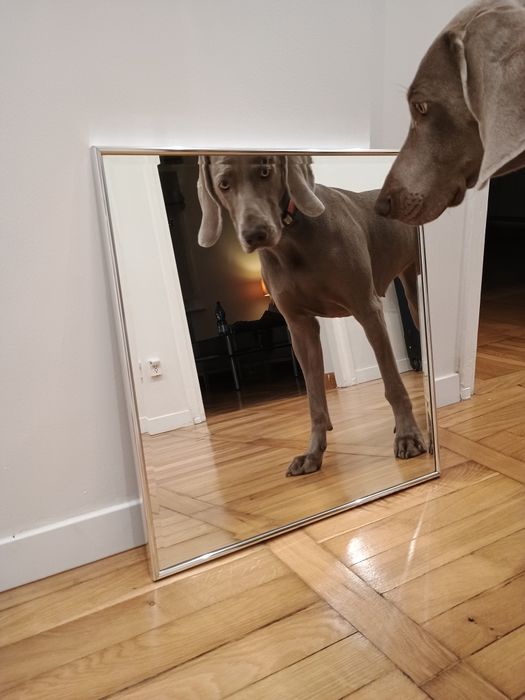 Lustro ścienne 54x56