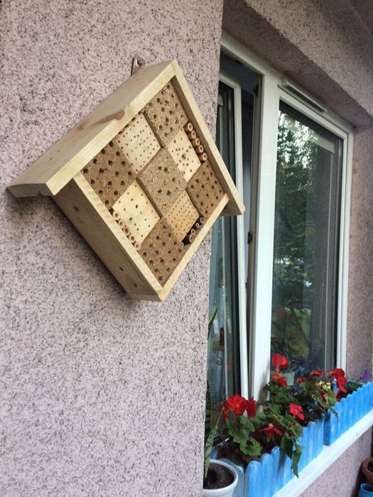 Karmiki budki itp dla ptakow i owadow