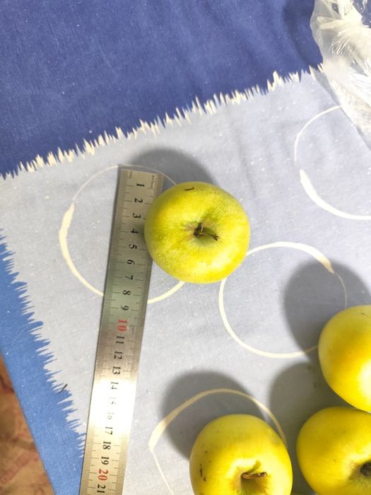 Мелкое Яблоки семеренка яблука