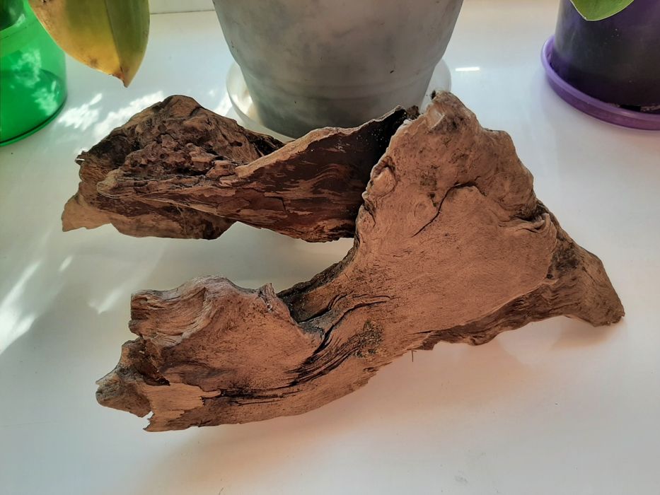 Продам коряжку в аквариум