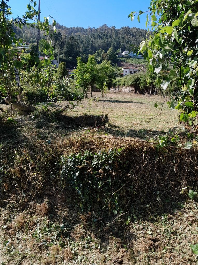 Limpeza de terrenos