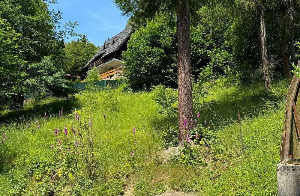 Działka budowlana wśród zieleni w cichej okolicy - Szczyrk