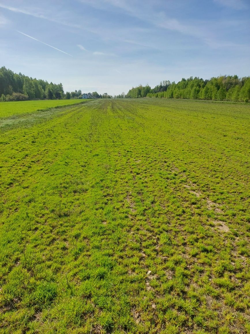 Działki budowlane