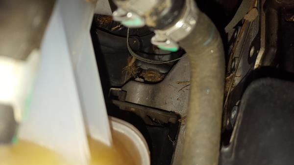 Apoio do motor JEEP Compass (MK49)